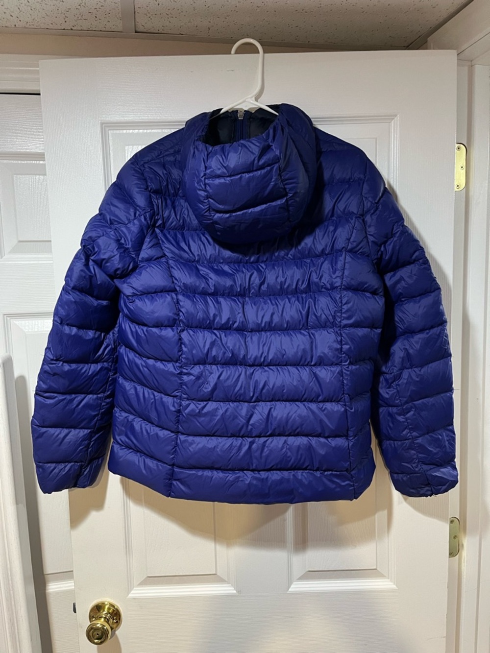 Eddie Bauer Womens Hooded Lightweigt Puffer Jacket in Royal Blue - Picture 2 of 6